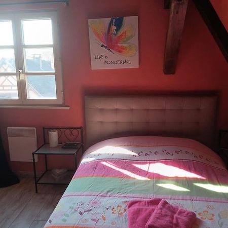 Gite Les Papillons Ribeauvillé Buitenkant foto