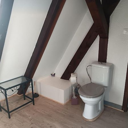 Gite Les Papillons Ribeauvillé Buitenkant foto