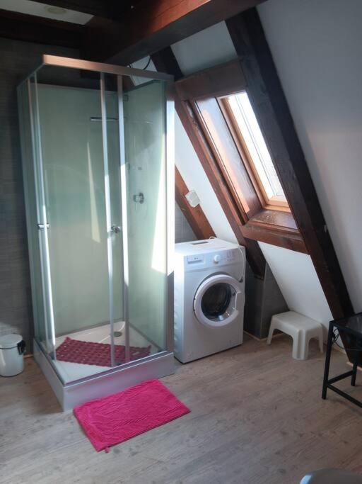 Gite Les Papillons Ribeauvillé Buitenkant foto