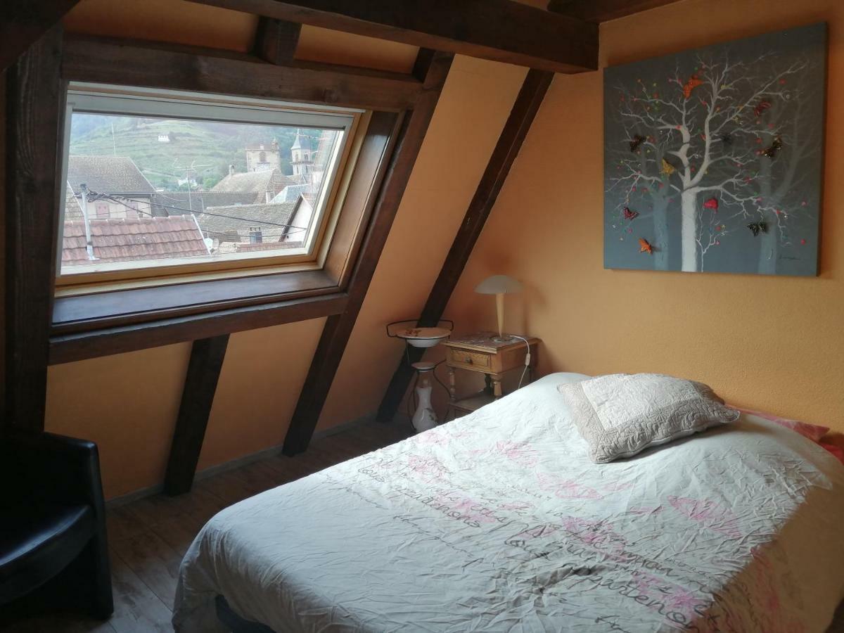 Gite Les Papillons Ribeauvillé Buitenkant foto