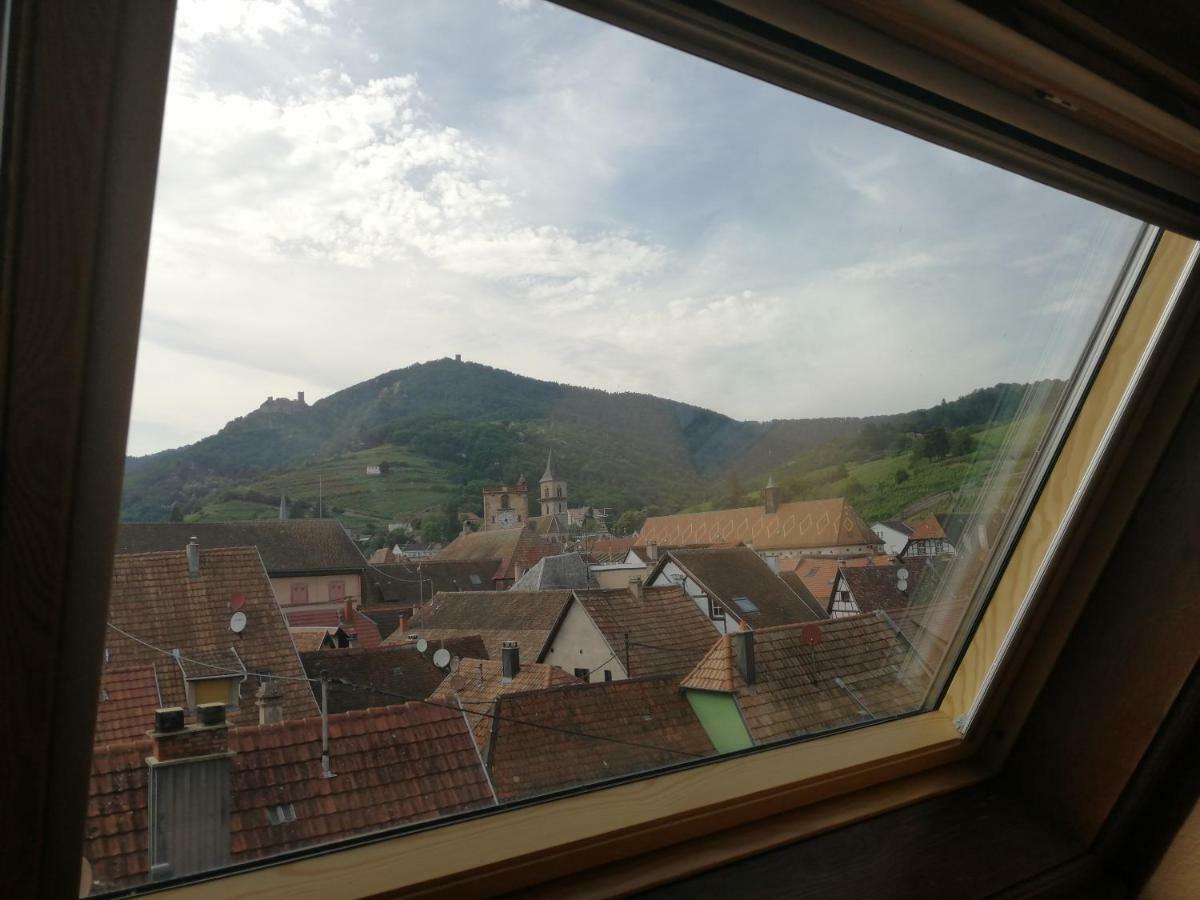 Gite Les Papillons Ribeauvillé Buitenkant foto