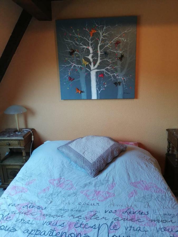 Gite Les Papillons Ribeauvillé Buitenkant foto