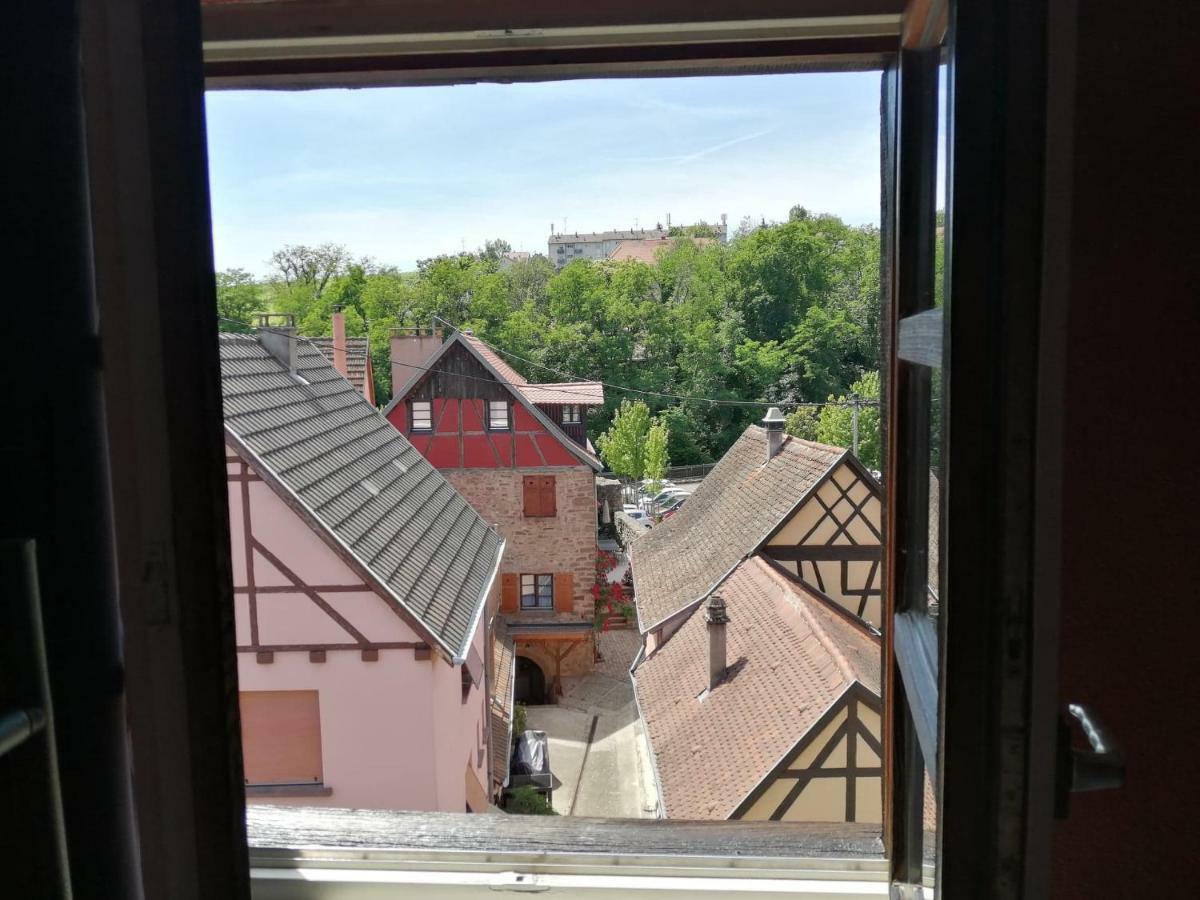Gite Les Papillons Ribeauvillé Buitenkant foto