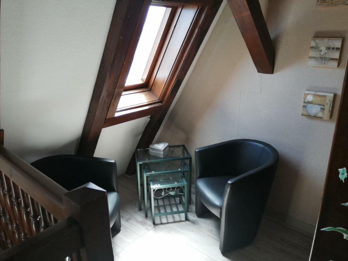Gite Les Papillons Ribeauvillé Buitenkant foto