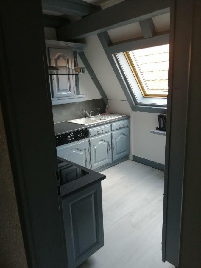 Gite Les Papillons Ribeauvillé Buitenkant foto