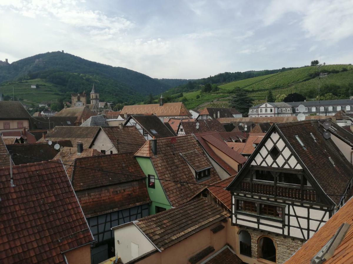 Gite Les Papillons Ribeauvillé Buitenkant foto
